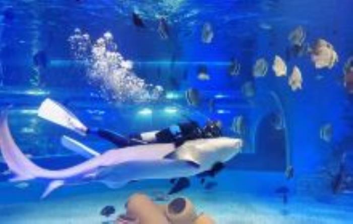 天津文化中心海底世界天津景點(diǎn)