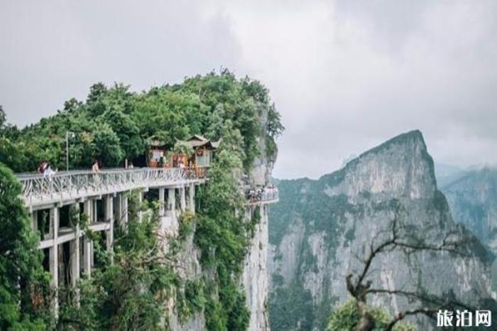 天門山國家森林公園景區 天門山國家森林公園景區