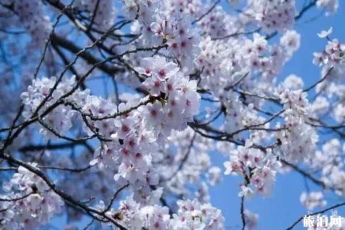 桂林南溪山公園