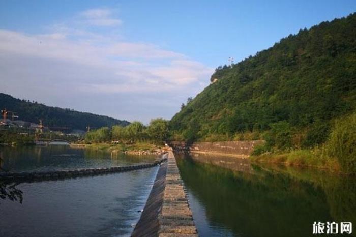 貴州龍架山森林公園 貴州龍架山森林公園