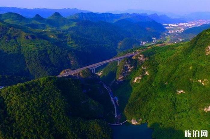 貴州龍架山森林公園 貴州龍架山森林公園