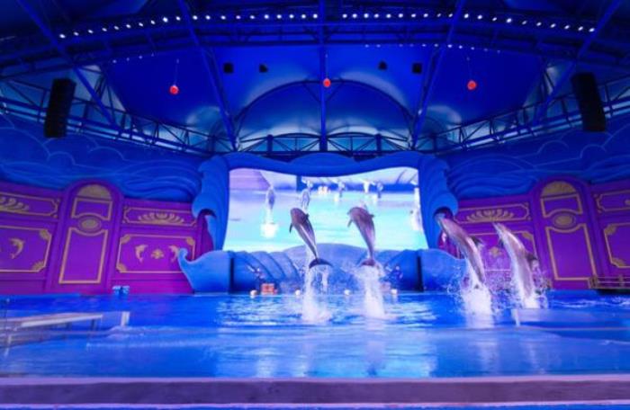 夢幻谷景區(qū) 夢幻谷景區(qū)