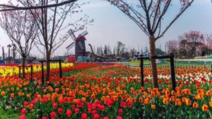 云瀾灣·四季花海樂園 云瀾灣·四季花海樂園