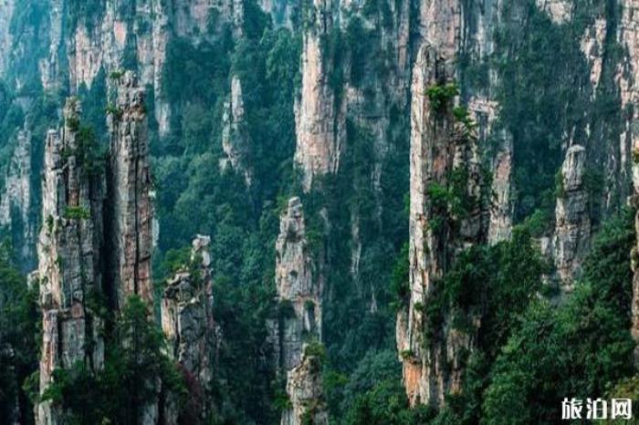 天子山景區 天子山景區