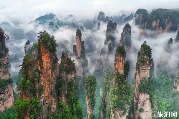 天子山景區 天子山景區