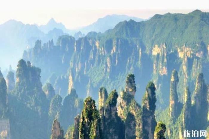 天子山景區 天子山景區