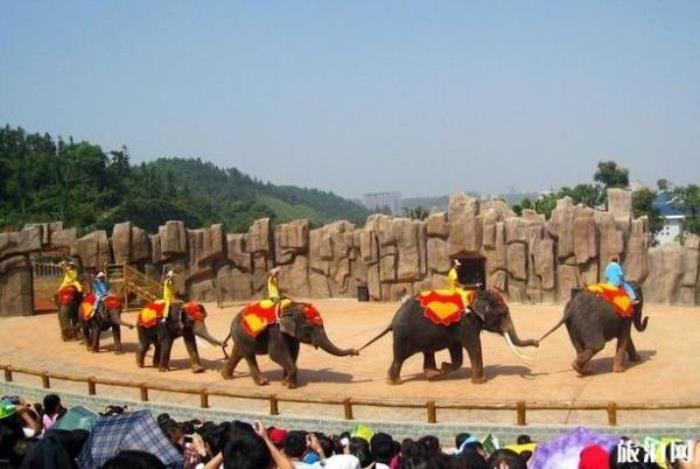 長(zhǎng)沙生態(tài)動(dòng)物園 長(zhǎng)沙生態(tài)動(dòng)物園