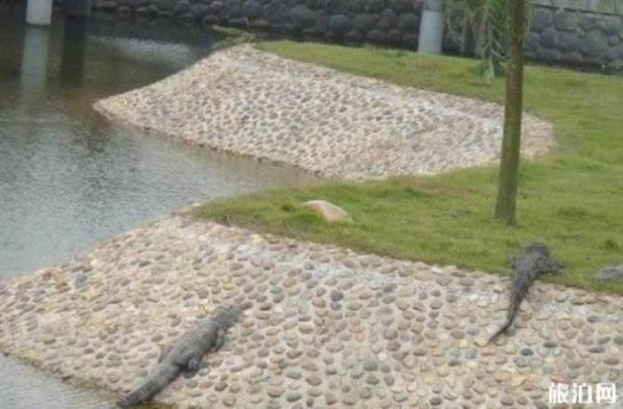 長(zhǎng)沙生態(tài)動(dòng)物園 長(zhǎng)沙生態(tài)動(dòng)物園