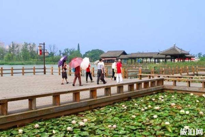 長沙洋湖濕地 長沙洋湖濕地