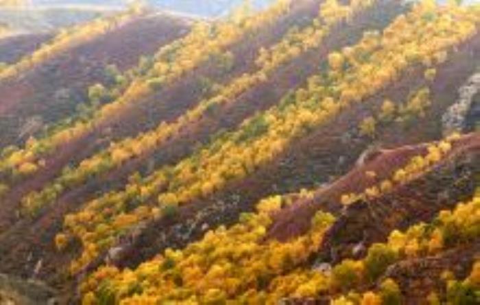 馬鞍山景區內蒙古景點