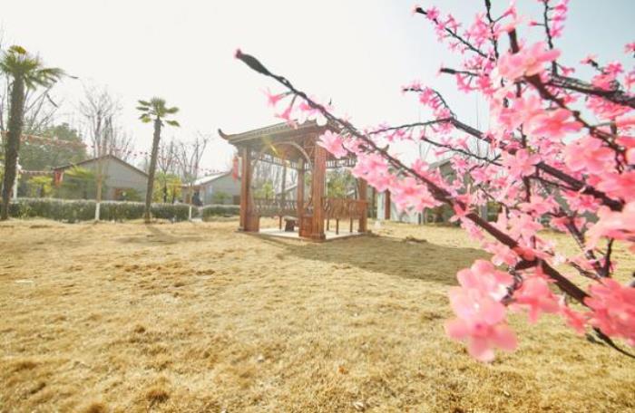 星期8古鎮 星期8古鎮