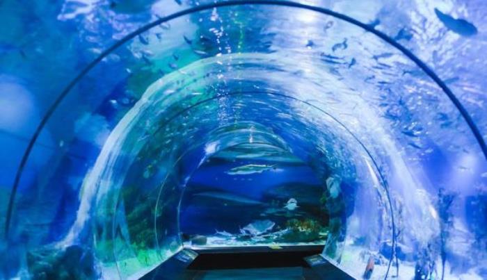 武漢海昌極地海洋公園 武漢海昌極地海洋公園