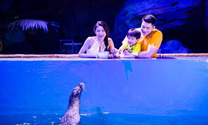 武漢海昌極地海洋公園 武漢海昌極地海洋公園