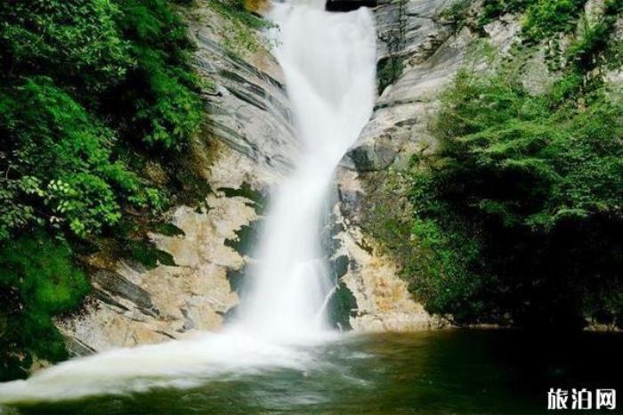 太平國家森林公園 太平國家森林公園