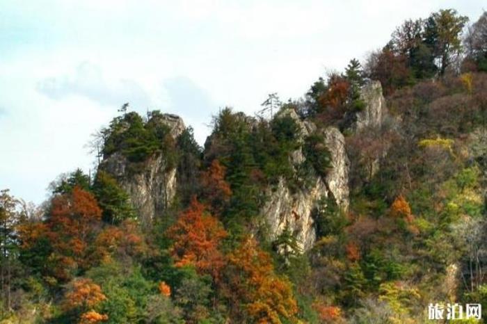 太平國家森林公園 太平國家森林公園