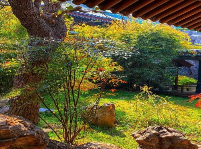 中國唐城 中國唐城