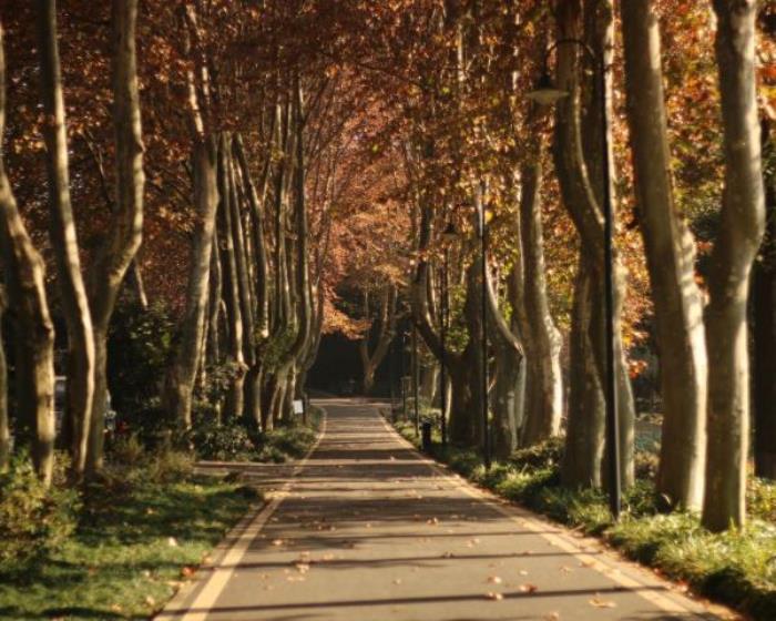 武漢植物園 武漢植物園