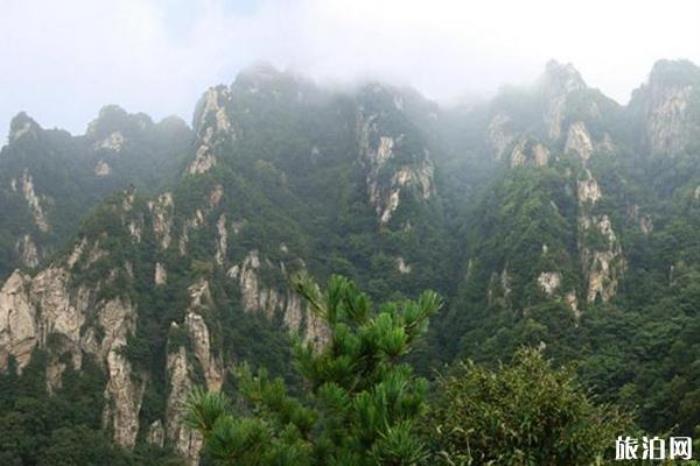 王順山國家森林公園 王順山國家森林公園