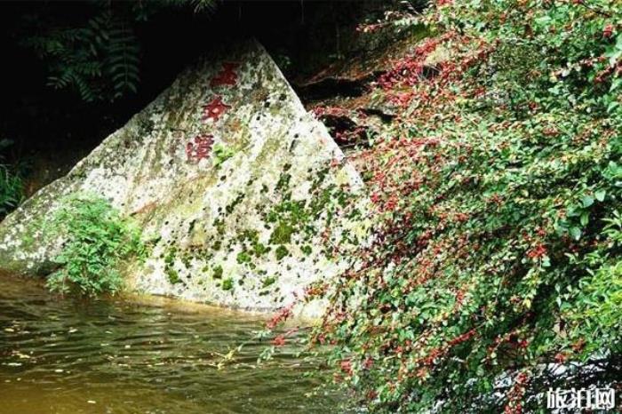 王順山國家森林公園 王順山國家森林公園