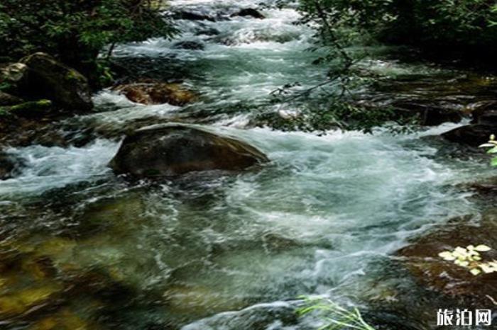 陜西黑河國家森林公園 陜西黑河國家森林公園