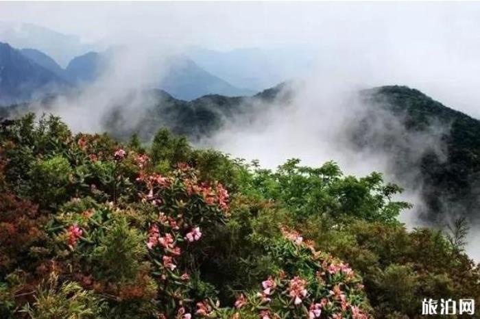 廣西貓兒山景區(qū) 廣西貓兒山景區(qū)