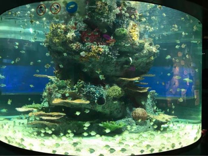 正佳極地海洋世界 正佳極地海洋世界