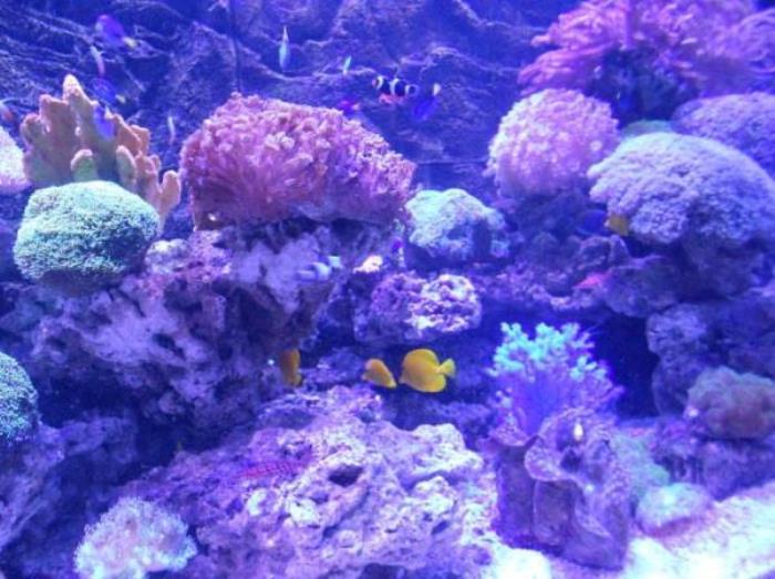 正佳極地海洋世界 正佳極地海洋世界