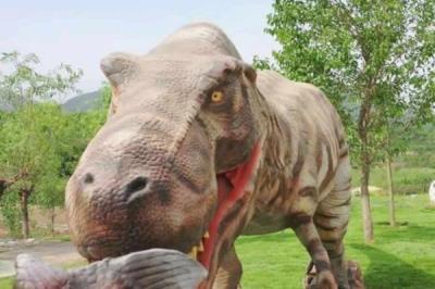 石家莊-西部長(zhǎng)青自然兒童樂(lè)園