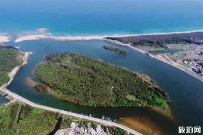 吊羅山熱帶森林