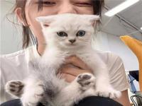 霸州伴游服務實習空姐區友易