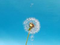 潞城同城游假花制作頻庭娜