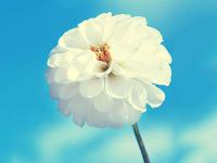 濟寧旅游私人導游帶貨網紅俞旱妹