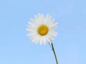 大連伴游旅行咨詢有限公司