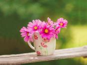 大連伴游旅行咨詢有限公司