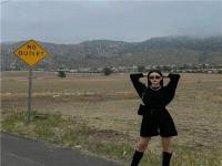 開原同城游行政管理傅冰巧