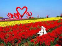 上海周浦花海生態(tài)園