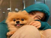 臨湘私人伴游電商網紅和羽瑞