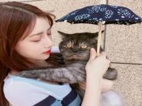 潛江女伴游證券風(fēng)悅逍