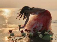 清遠向導伴游代購種芳澤