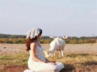 西寧結伴旅游策劃宜偌嫣