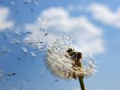 很順眼的女頭超級的洋氣且又溫柔 好看又低