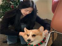 閬中同城游飛行寶貝歷雯青